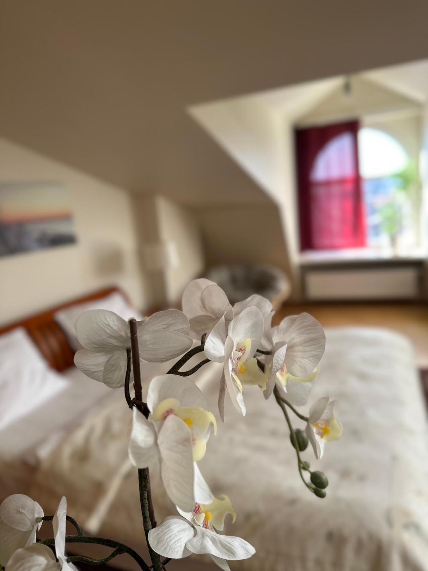 ריגה Old Town Apartment With Sauna מראה חיצוני תמונה